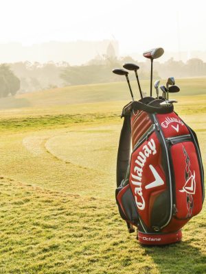 Professional golf bag with golf equipment standing on green golf field against trees and buildings on background in summer sunny morning